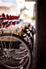 bicycle in the street