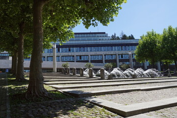 Poster glansig