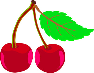 Cherry trees in the garden