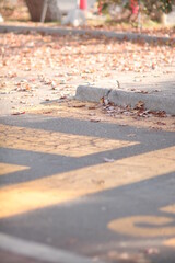 autumn street