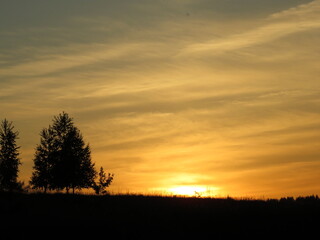 Fototapeta na wymiar Bright orange sunset in the field