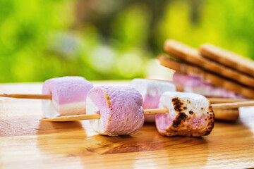 Cookies and marshmallows on skewers fried on a fire on a background of nature