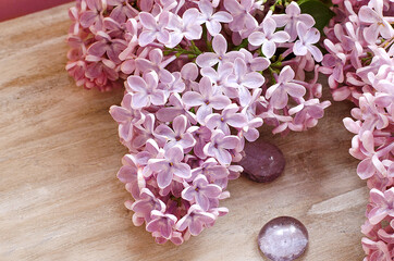 Obraz na płótnie Canvas Pink lilac with green leaves on a wood background. Background and texture. Empty space for text. Copy space. Beauty theme. Beautiful and spring background. Spring and summer background.