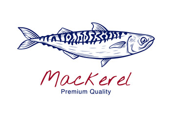 Vector sketch illustration of fresh mackerel fish drawing isolated on white. Engraved style. natural business. Vintage, retro  object for menu, label, recipe, product packaging