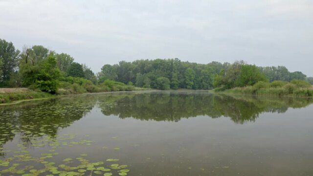 Summer nature scenery with water surface reflecting forest growing on riverbank and coudy sky. Wide angle dolly shot of outdoor environment. Lake with lilies on floodplain.