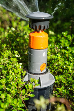 Garten bew&auml;ssern
