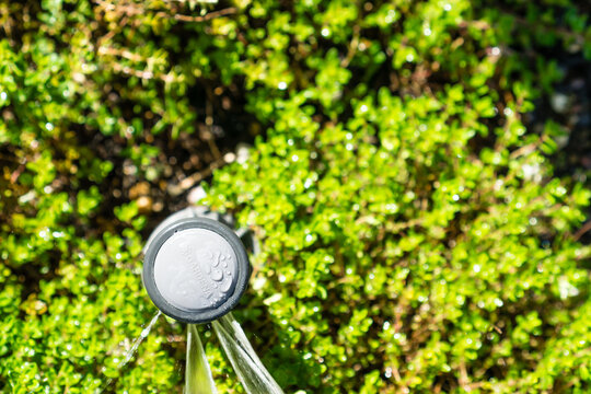 Garten bew&auml;ssern