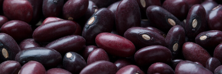 burgundy raw dry bean beans