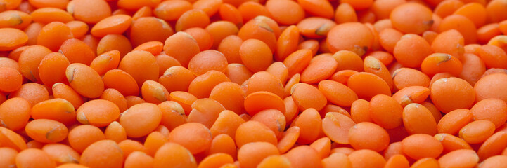 beans orange bright raw dry lentils