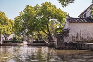 Obraz premium Tongli, JIangsu, China - May 3, 2010: Canal scenery. Big trees with green foliage hang over greenish-brown water with part of bow bridge in back under light blue sky. black molded house.
