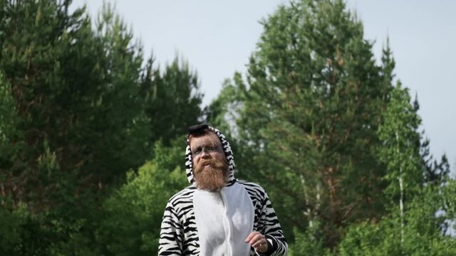 Crazy people, man in a Zebra costume, bright emotion,kigurumi, funny moment, facial expressions, antics, good mood