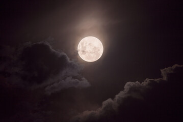 Naklejka na ściany i meble cloudy night with a full super moon