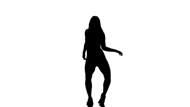 black silhouette on a white background, young beautiful woman dancer with long hair in fishnet tights and shorts dancing dancehall twerk, street modern dance, long shot