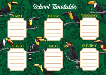 School timetable or schedule, education vector template with exotic toucan birds. Student planner or weekly lesson chart layout on background with tropical toucans, toucanets and jungle palm trees
