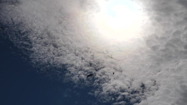paragliders in blue sky with white clouds enjoying the sports of freedom para gliders