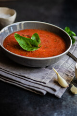 Traditional spanish soup gazpacho