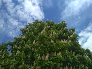 sky and clouds