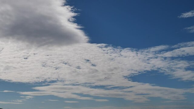 paragliders in blue sky with white clouds enjoying the sports of freedom para gliders
