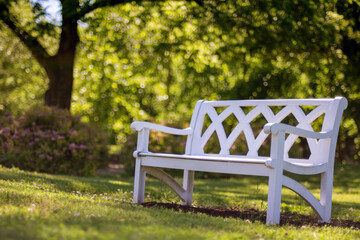 Fototapeta na wymiar Lonely park bench in summer