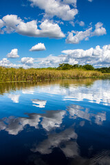 Perfect reflection in Pantanal Marimbus in Bahia Brazil