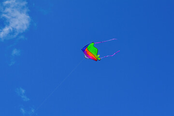 Multi-colored kite on a background of blue summer sky.