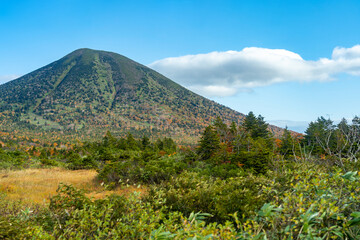 Fototapeta premium Mountain forest landscape under sky with clouds in sunny day. Mount Hakkoda, Towada Hachimantai National Park, Aomori, Japan