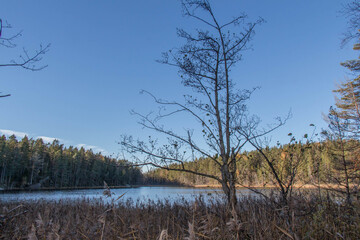 Peaceful Nature at Tyresta National Park, Sweden.