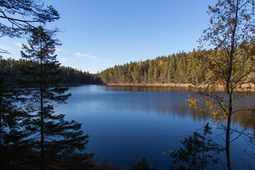 Obraz premium Peaceful Nature at Tyresta National Park, Sweden.