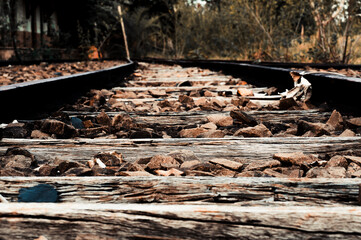 velhos trilhos de trem desativados invadidos pela natureza