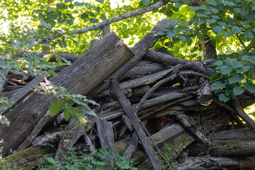 C'est un tas de bois !