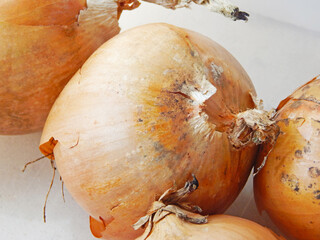 Onion with visible natural imperfections