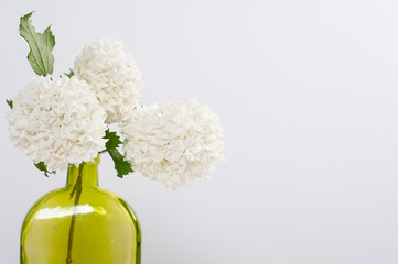 Snowball Viburnum Flowers Green Glass Vase