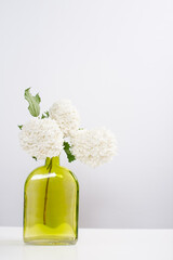 Snowball Viburnum Flowers Green Glass Vase