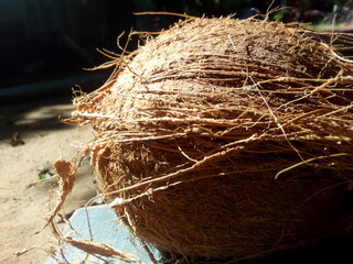 close up of a coconut