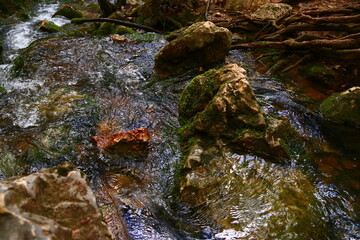 Sources de  l'Huveaune, Provence, Var