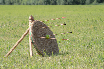 Bow arrows with color plumage pierced a round straw target with a green apple in the center of the target
