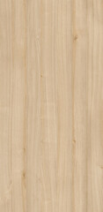 Fototapeta premium Nautral wood texture image background