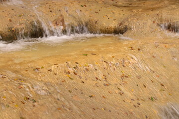Confettis de feuilles, sources de l'Huveaune, Provence, Var