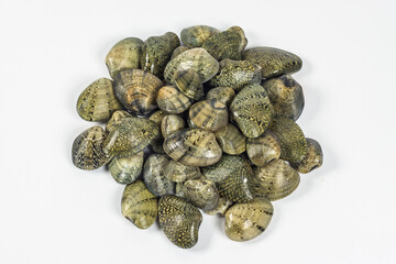 Raw Venus seashells poured into a pile on a white background