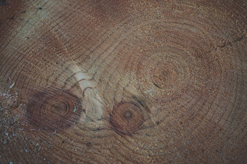 Naklejka premium Place saw cut with wood texture.