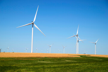 wind turbines in a field of wheat