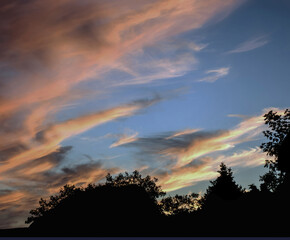 Sunset Silhouette #2