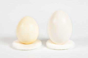 The difference between chicken eggs and native chicken eggs is in size