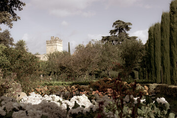 Vintage looking image of a flower  garden situated in an old castle or palace  in spain.  