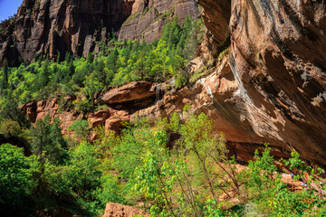 Emerald Pool Falls, Zion National Park, Utah