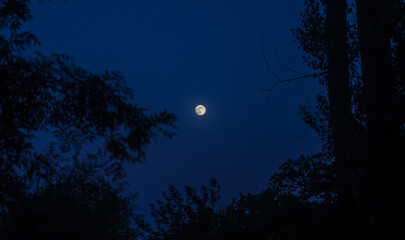 Mond