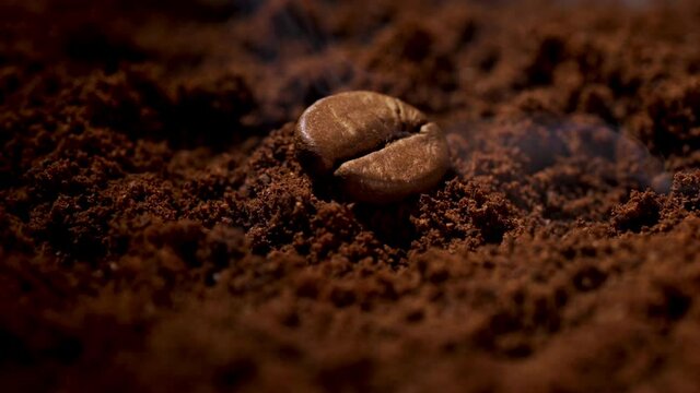 Roasted coffee bean on ground coffee beans and smoke of espresso coffee beans.