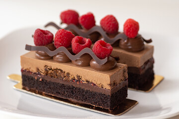 Chocolate And Raspberry Mousse Cake Entremet On White Background.