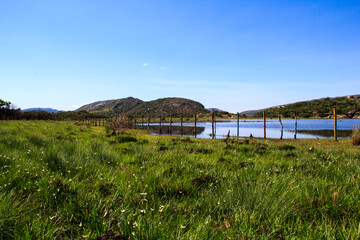 Fototapeta na wymiar prairie in Lapinha da Serra
