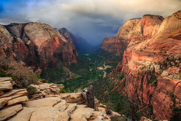 Looking into the Canyons from Angels Landing, Zion National Park, Utah